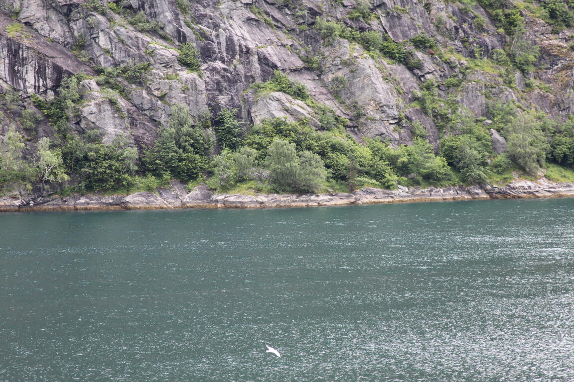 Klik på billedet for at lukke vinduet