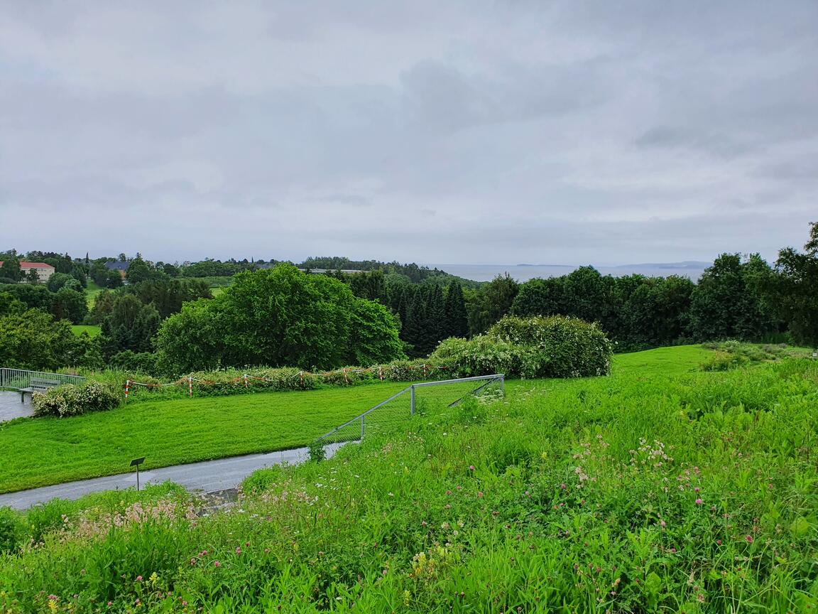 Klik på billedet for at lukke vinduet