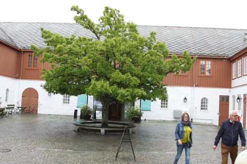 Klik på billedet for at se det i større format
