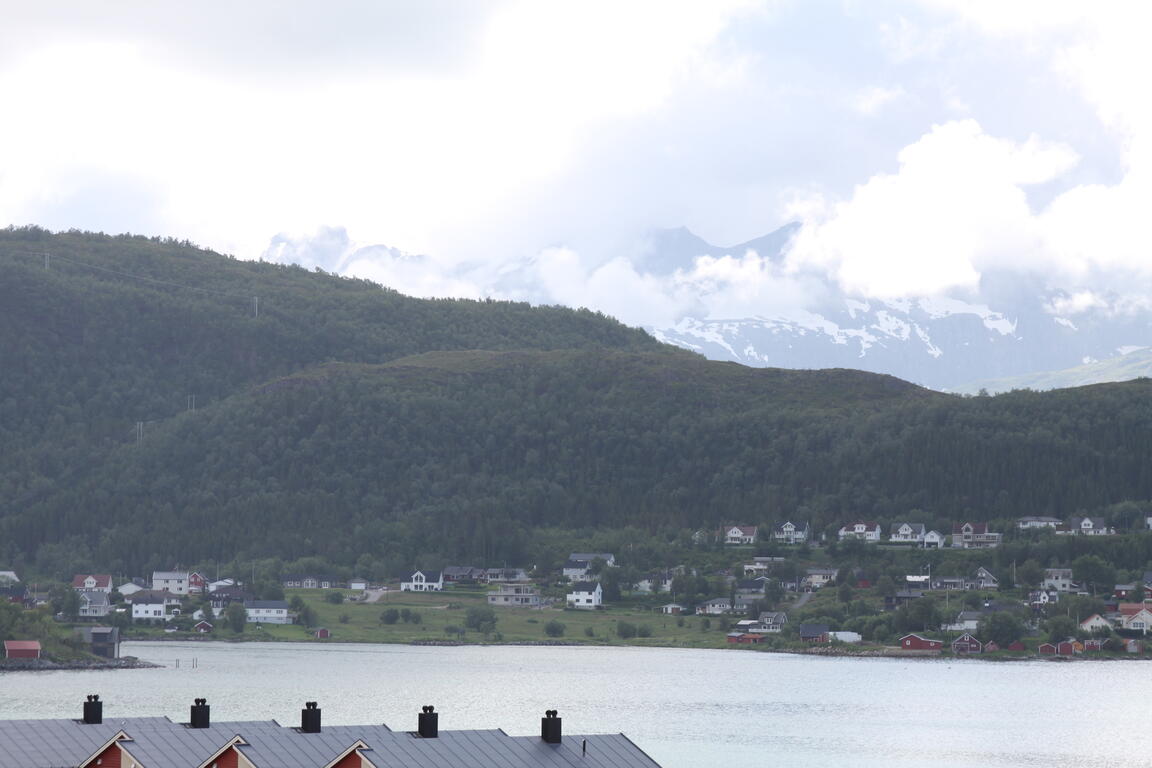 Klik på billedet for at lukke vinduet