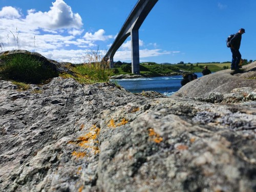 Klik på billedet for at se det i større format