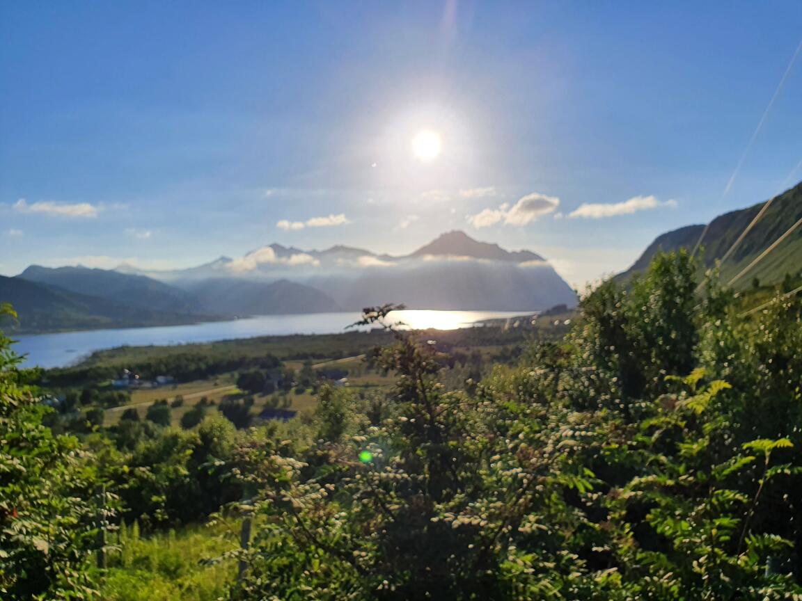 Klik på billedet for at lukke vinduet