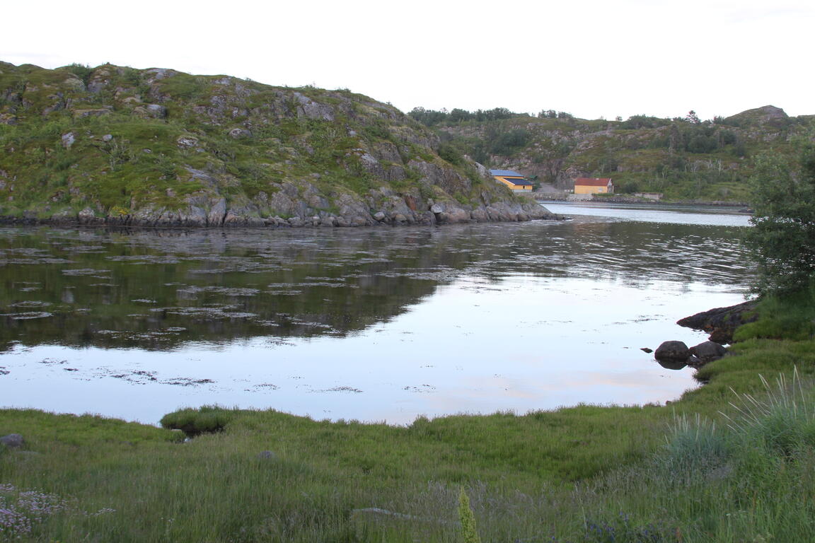 Klik på billedet for at lukke vinduet
