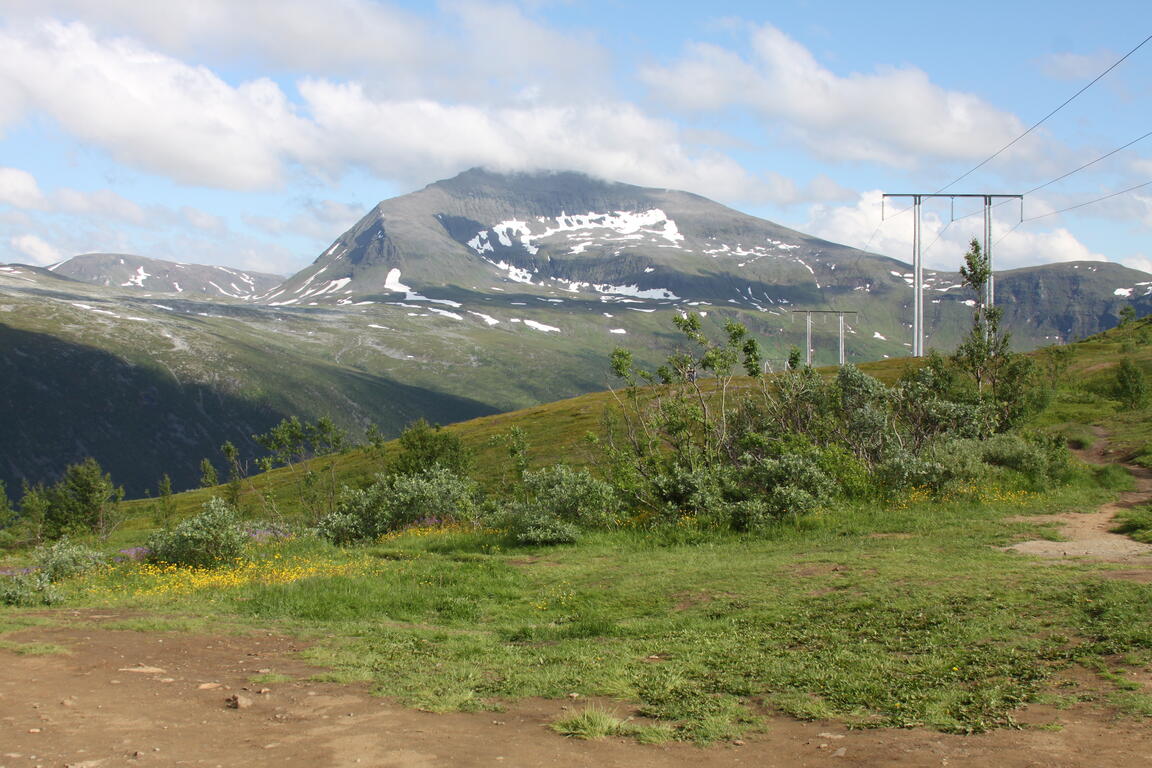 Klik på billedet for at lukke vinduet