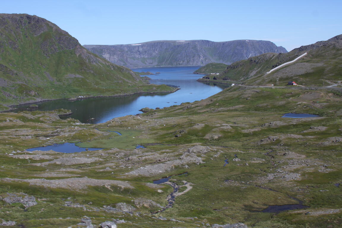 Klik på billedet for at lukke vinduet