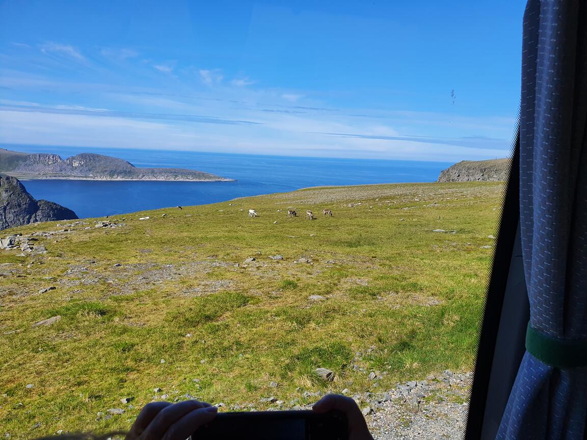 Klik på billedet for at lukke vinduet