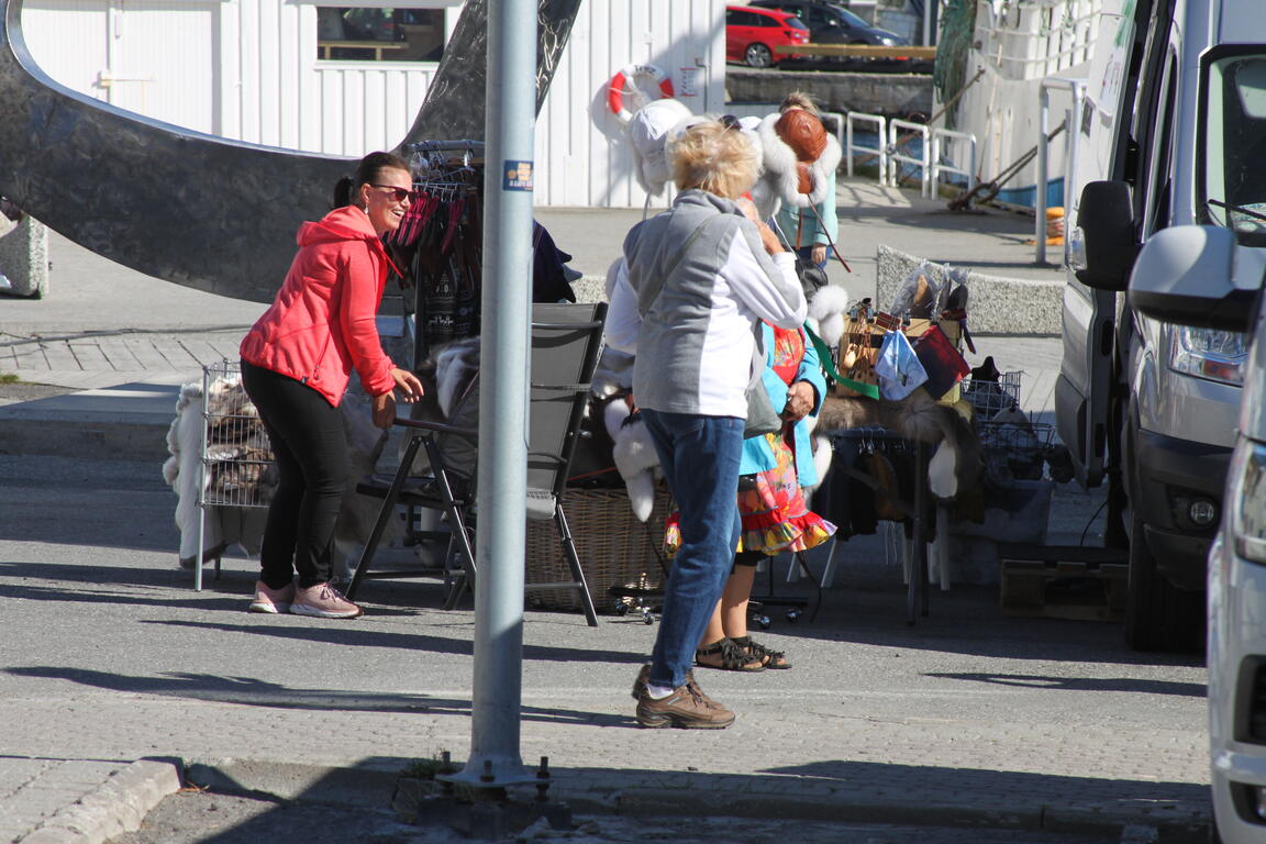 Klik på billedet for at lukke vinduet