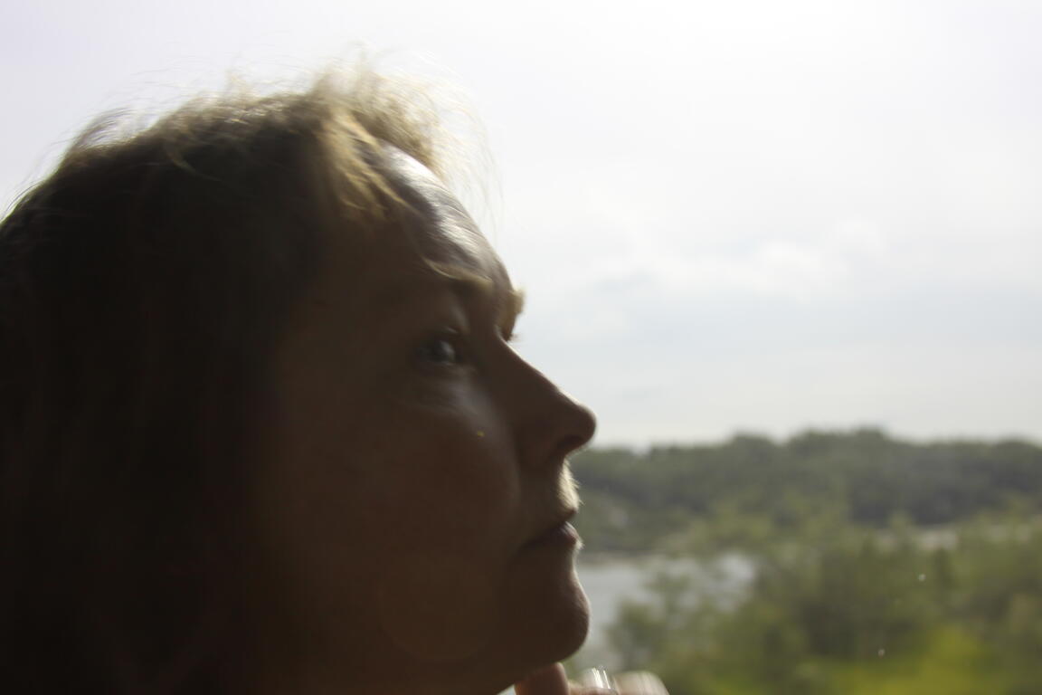 Klik på billedet for at lukke vinduet
