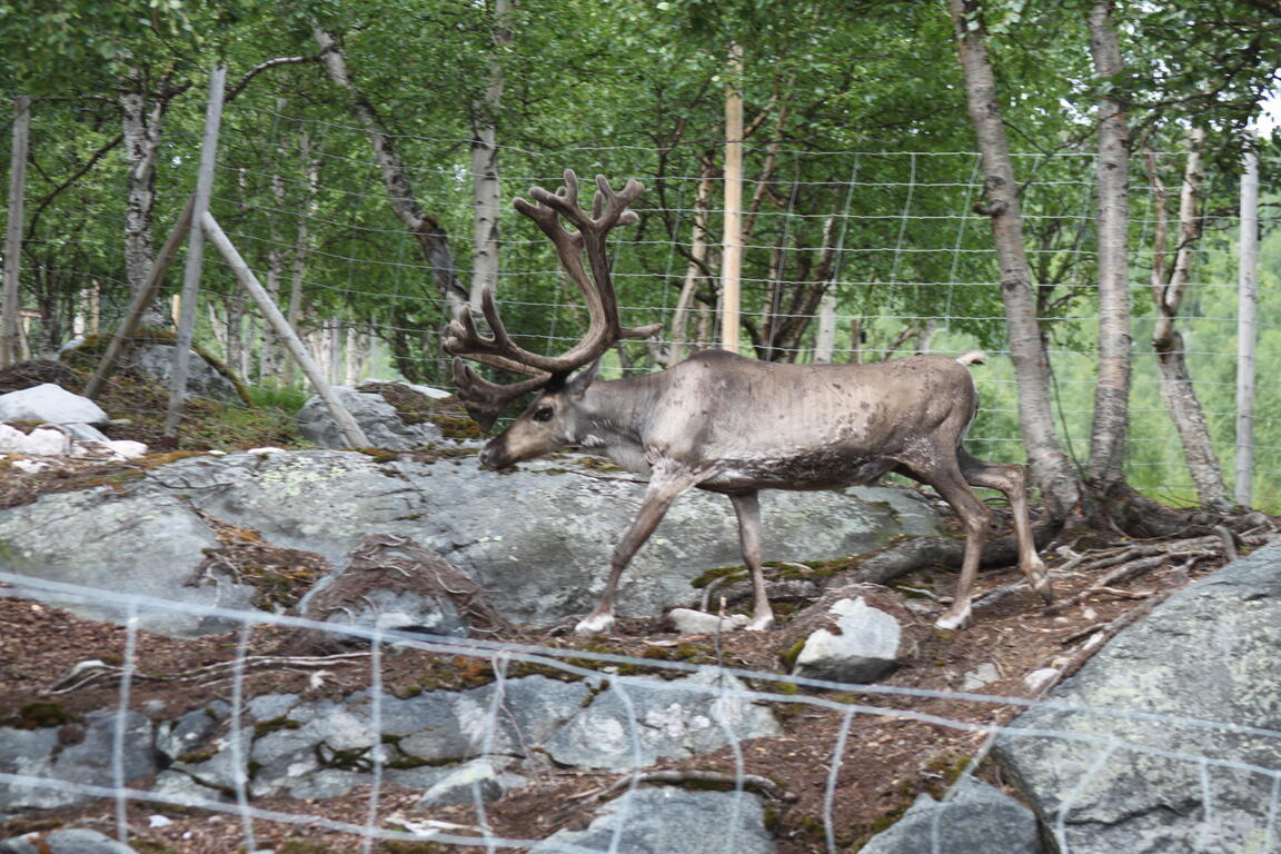 Klik på billedet for at lukke vinduet