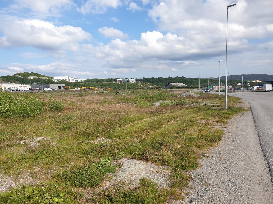 Klik på billedet for at lukke vinduet
