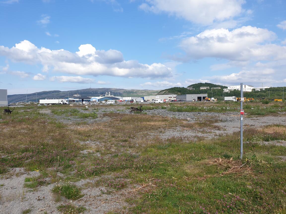 Klik på billedet for at lukke vinduet