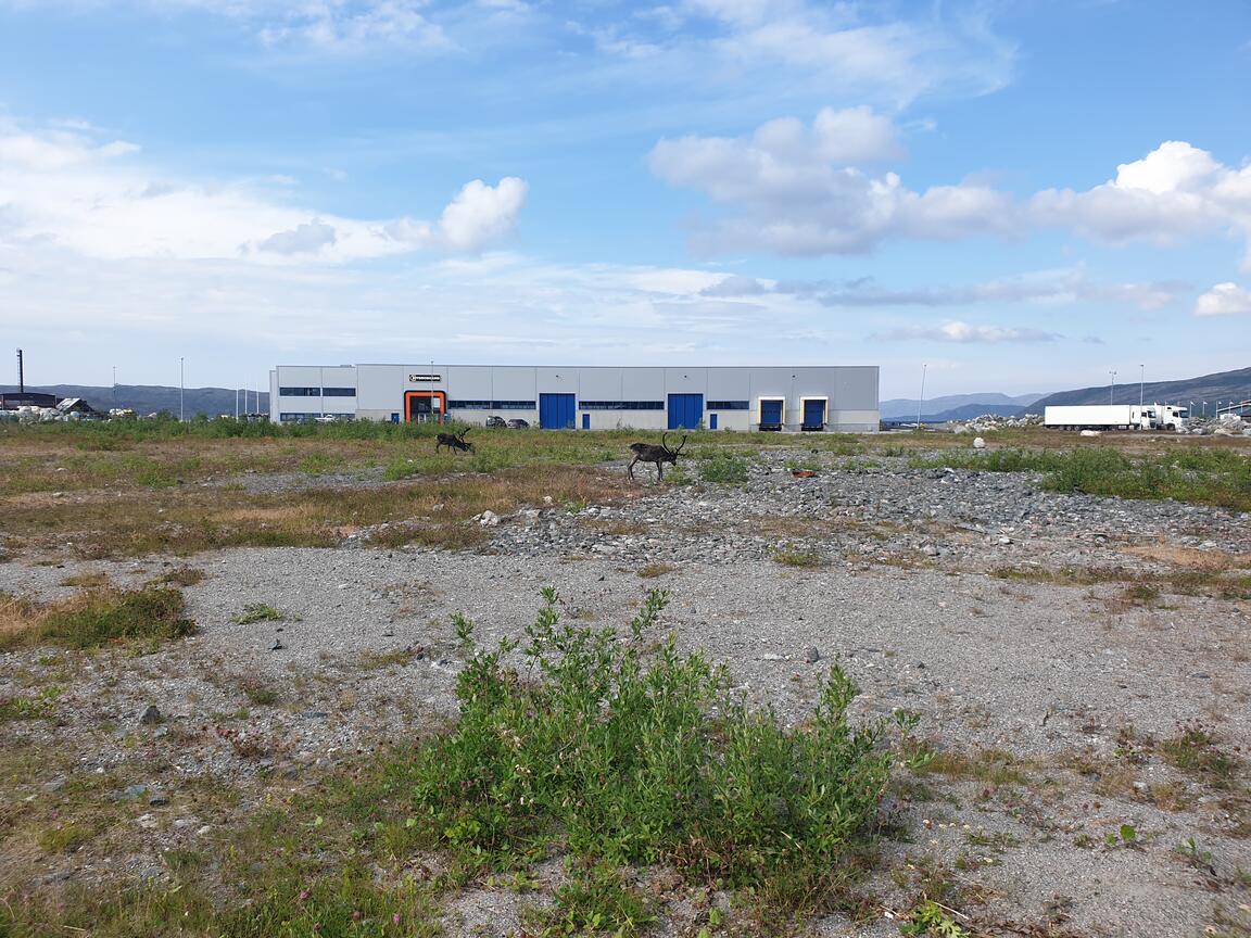 Klik på billedet for at lukke vinduet