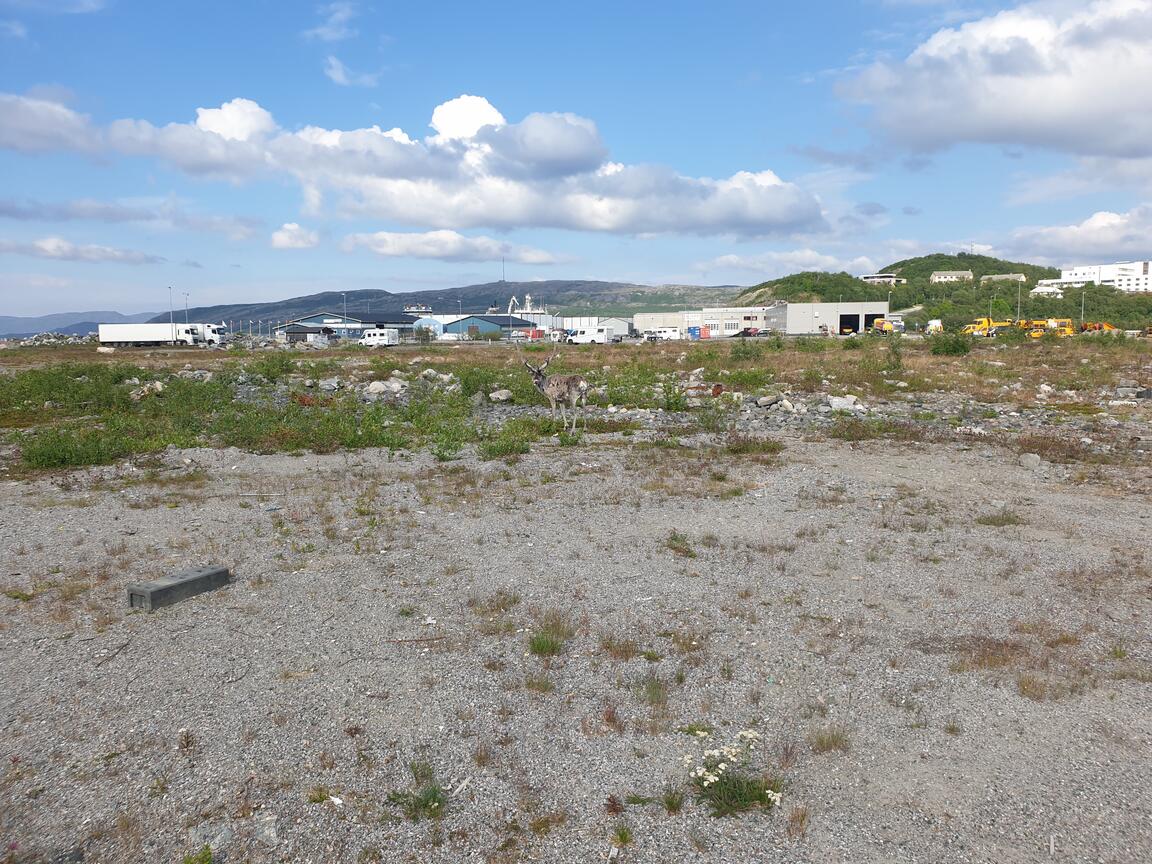 Klik på billedet for at lukke vinduet