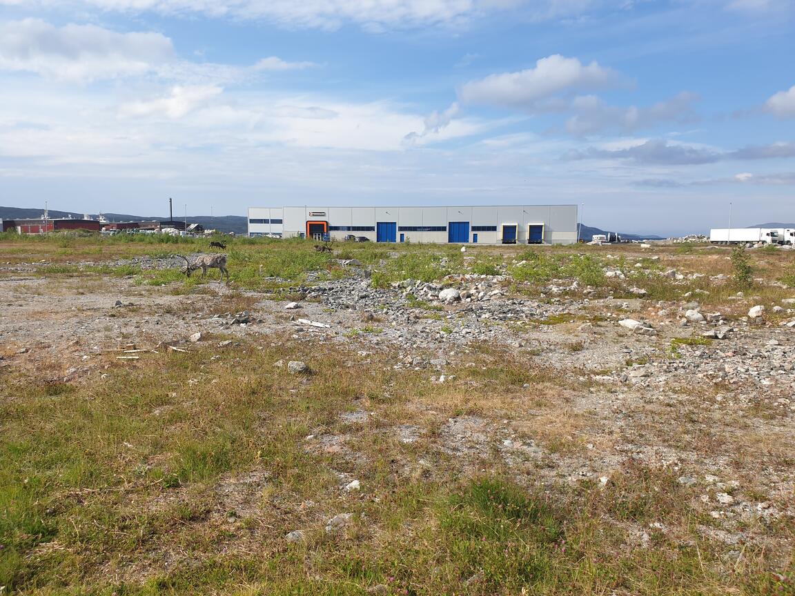 Klik på billedet for at lukke vinduet
