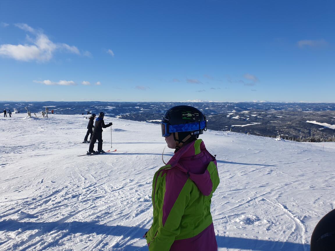 Klik på billedet for at lukke vinduet
