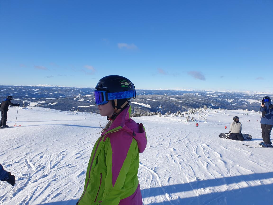 Klik på billedet for at lukke vinduet