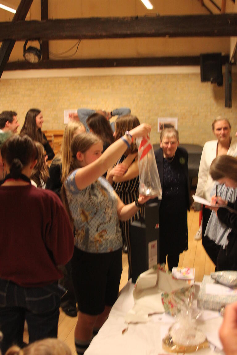 Klik på billedet for at lukke vinduet