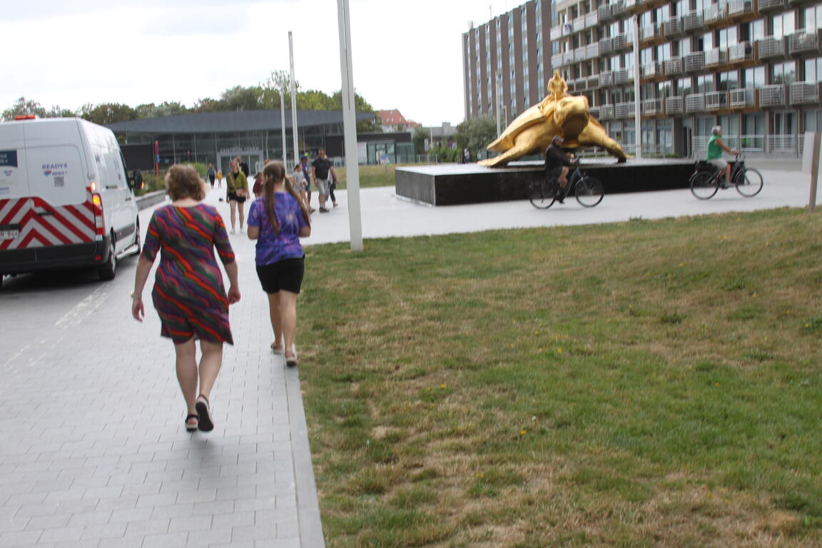 Klik på billedet for at lukke vinduet