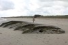 Klik på billedet for at se det i større format