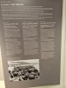 Klik på billedet for at se det i større format