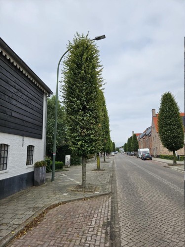 Klik på billedet for at se det i større format