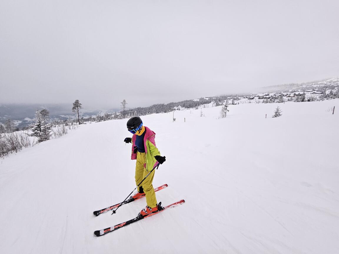 Klik på billedet for at lukke vinduet