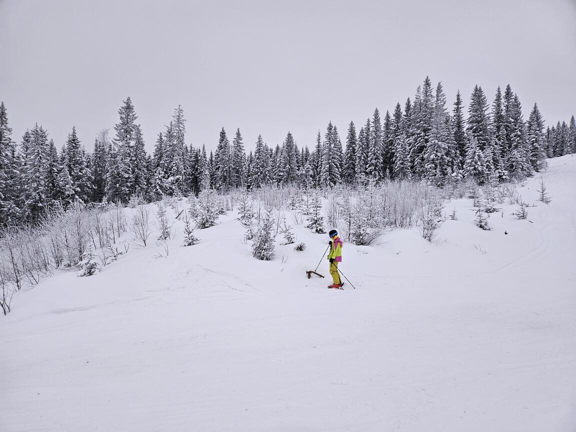 Klik på billedet for at lukke vinduet