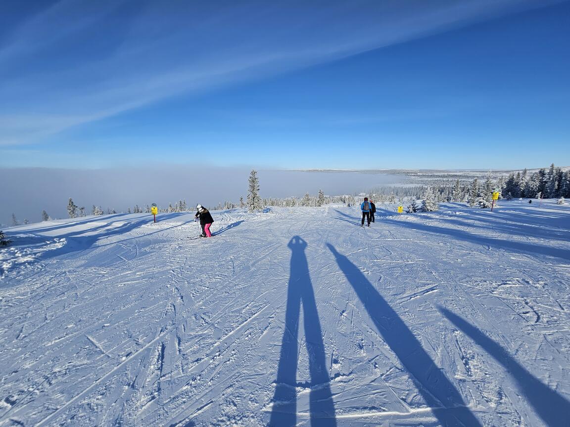 Klik på billedet for at lukke vinduet