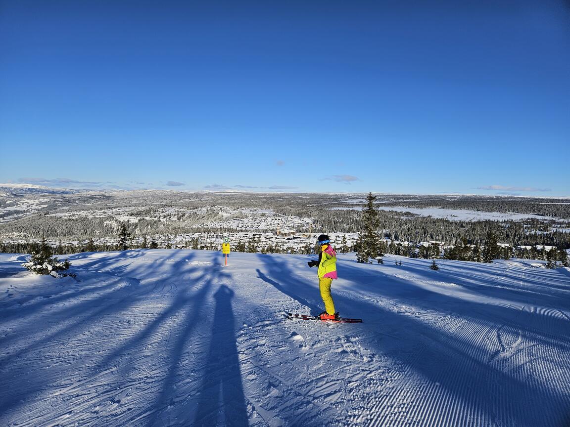 Klik på billedet for at lukke vinduet
