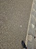 Klik på billedet for at se det i større format