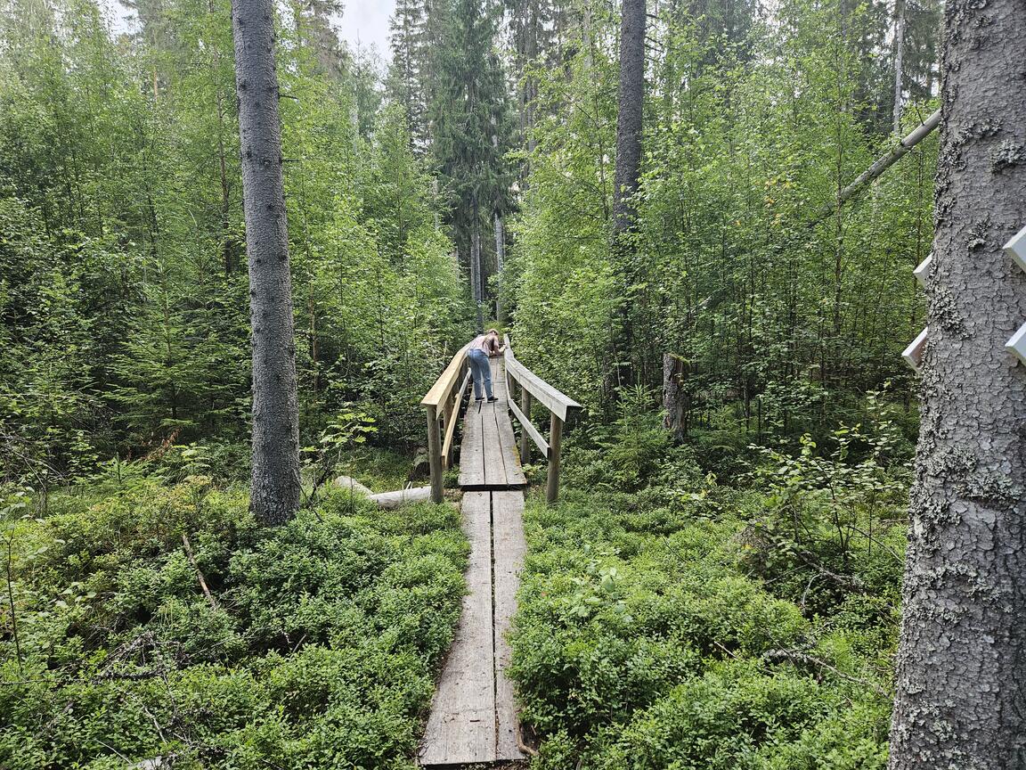 Klik på billedet for at lukke vinduet