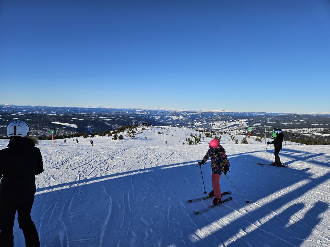 Klik på billedet for at lukke vinduet