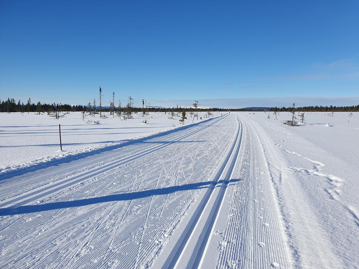 Klik på billedet for at lukke vinduet
