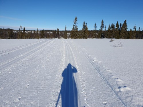 Klik på billedet for at se det i større format