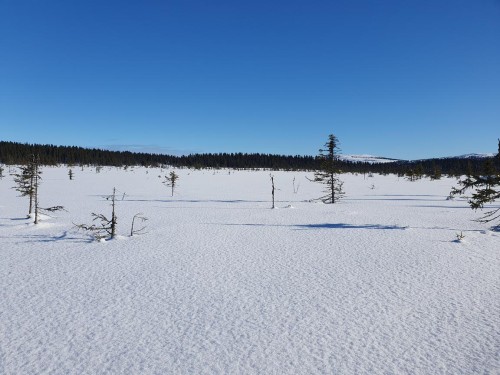 Klik på billedet for at se det i større format