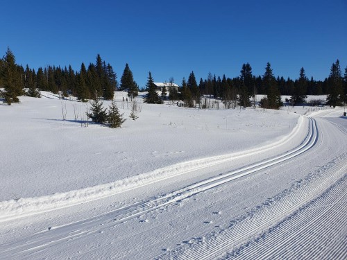 Klik på billedet for at se det i større format