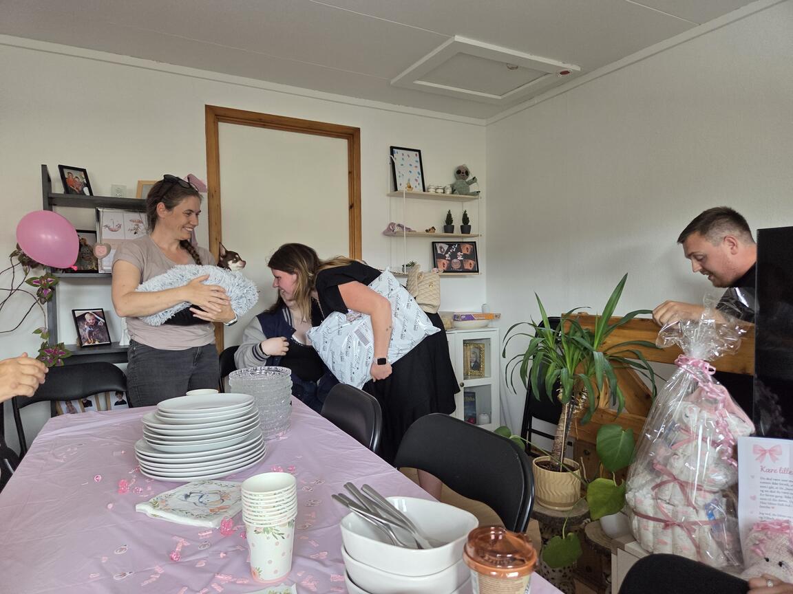 Klik på billedet for at lukke vinduet