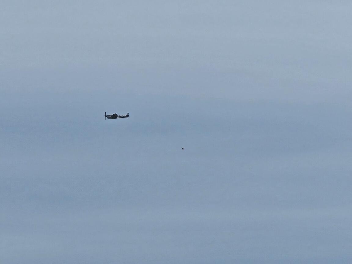 Klik på billedet for at lukke vinduet