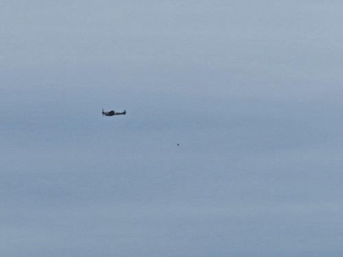 Klik på billedet for at se det i større format