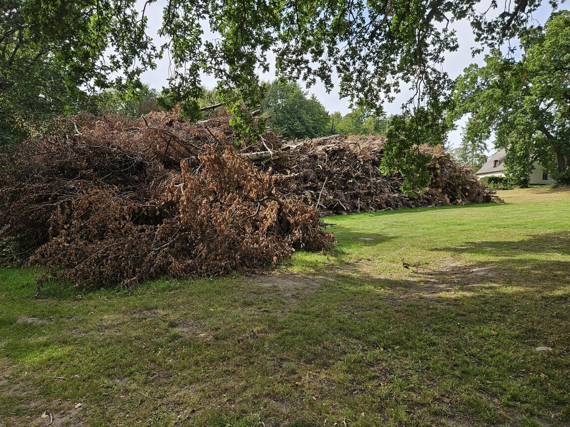 Klik på billedet for at lukke vinduet