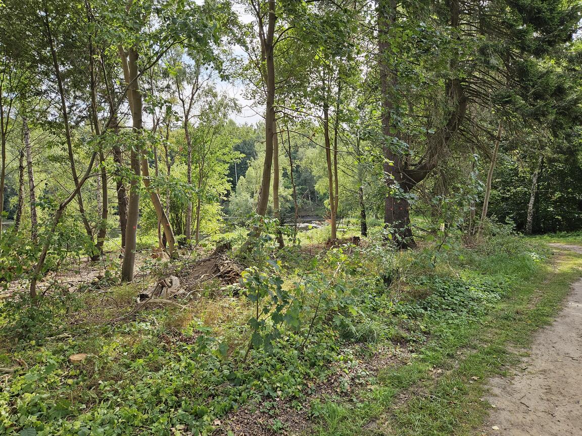 Klik på billedet for at lukke vinduet