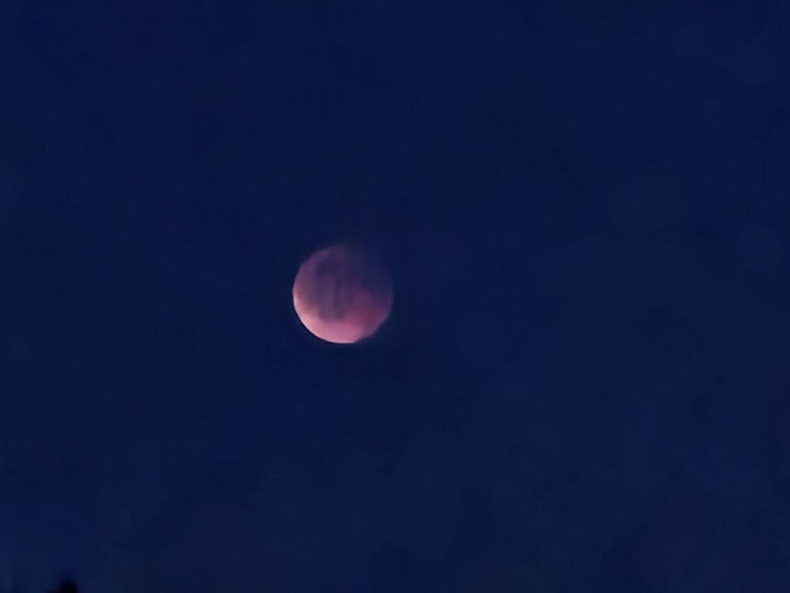 Klik på billedet for at lukke vinduet