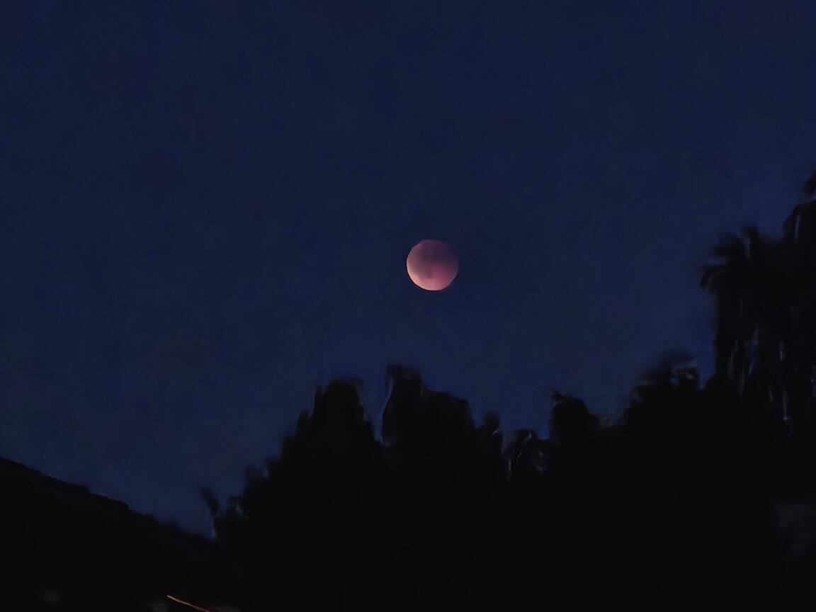 Klik på billedet for at lukke vinduet