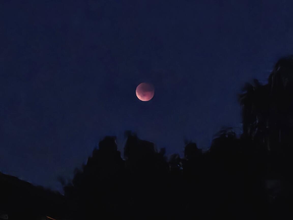 Klik på billedet for at lukke vinduet