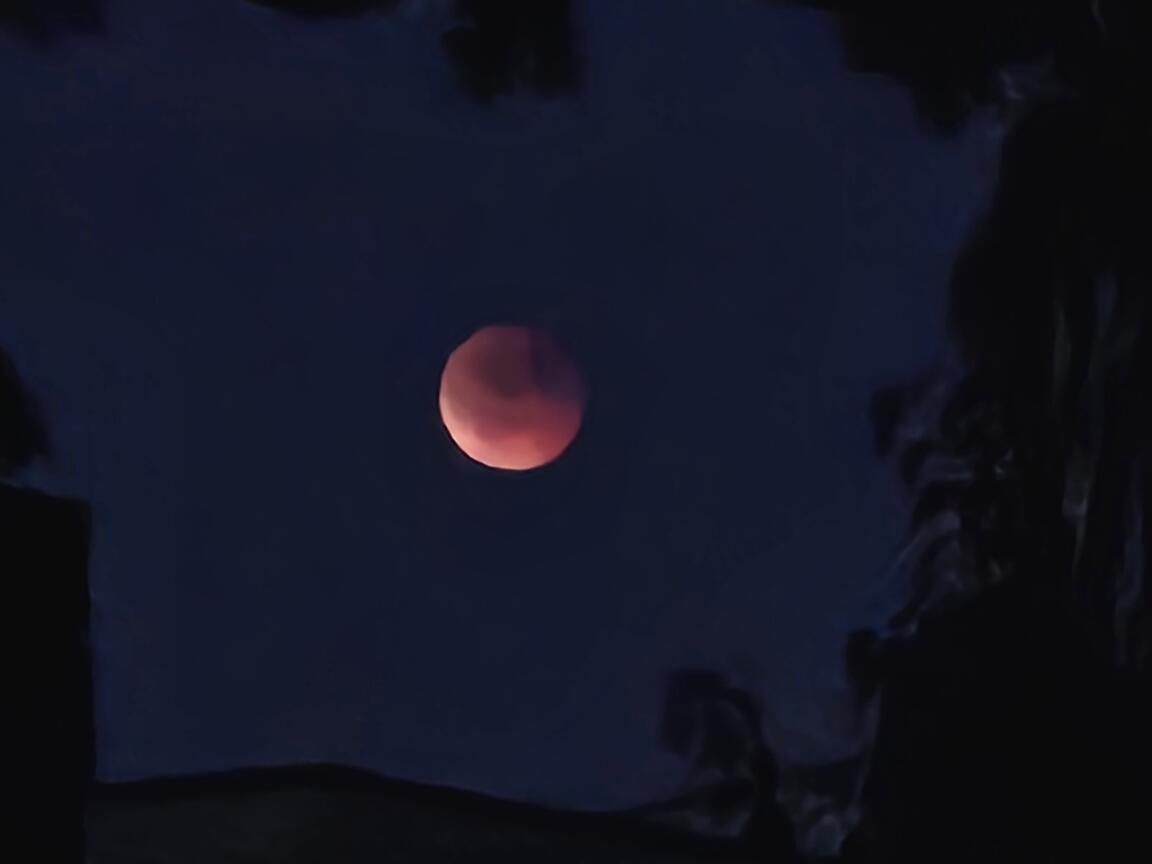 Klik på billedet for at lukke vinduet