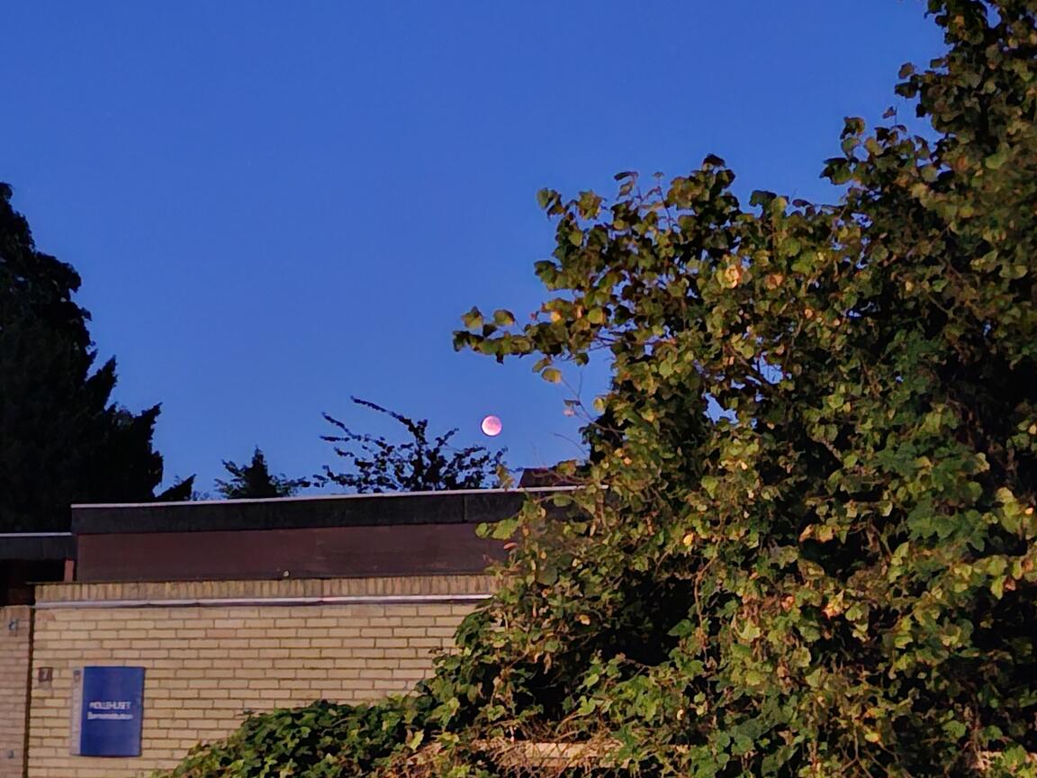 Klik på billedet for at lukke vinduet