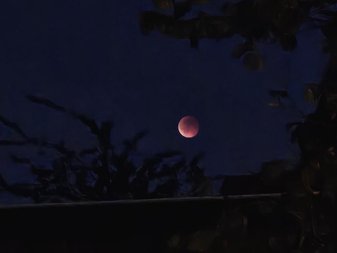 Klik på billedet for at lukke vinduet