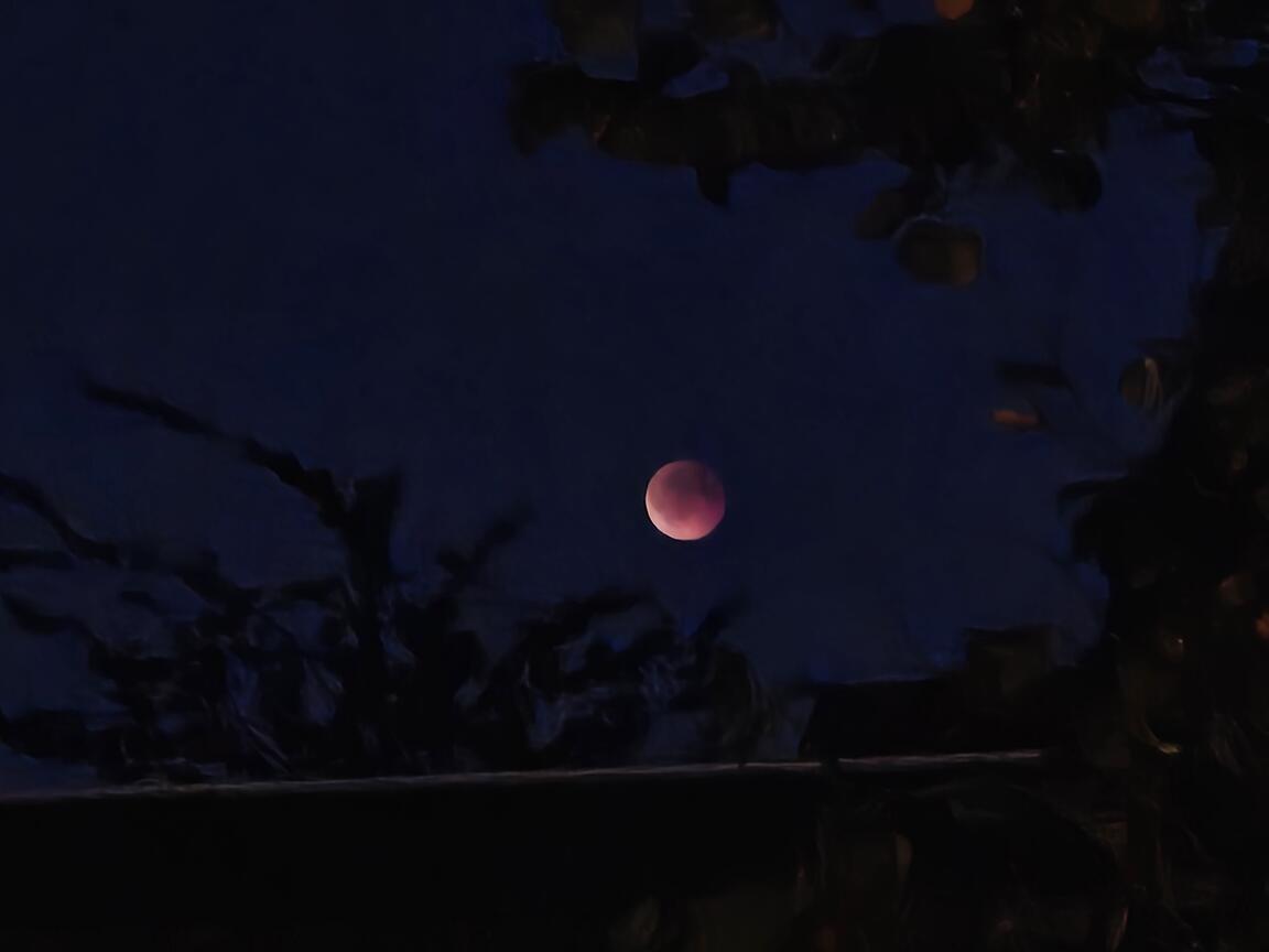 Klik på billedet for at lukke vinduet