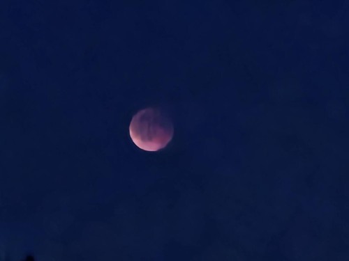 Klik på billedet for at se det i større format