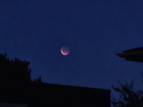 Klik på billedet for at se det i større format